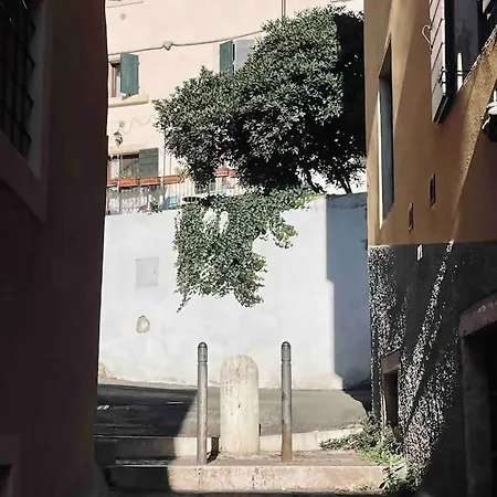 Romeos Public Free Parking Bike Verona